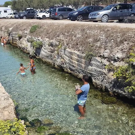 Manuela Punta Prosciutto