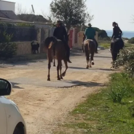 Prázdninový dům Manuela *